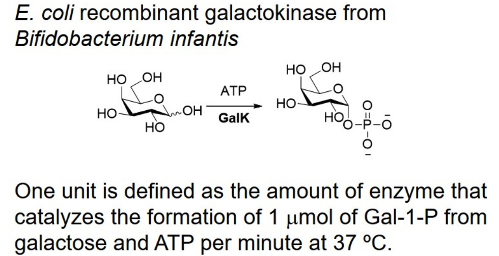 Galactokinase; BiGalK